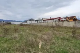 იყიდება მიწის ნაკვეთი, სასოფლო - სამეურნეო, ჯიღაურა