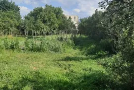 იყიდება სახლი, 4 ოთახიანი, ხაშური, ხაშური