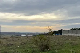 Land For Sale, Lisi lake