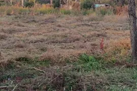 Land For Sale, Agricultural