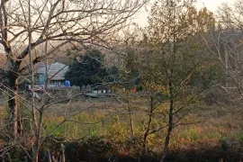 Продается Земля, Сельскохозяйственные