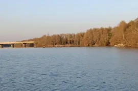 Продается Земля, Сельскохозяйственные