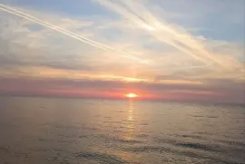 Продается Земля, Сельскохозяйственные