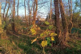 Продается Земля, Сельскохозяйственные