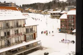 Аренда квартир посуточно, 2 Kомнатная, Новостройка, Боржомский район, Бакуриани