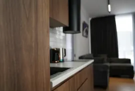 Аренда квартир посуточно, 2 Kомнатная, Новостройка, Боржомский район, Бакуриани