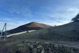 Land For Sale, Tsodoreti