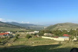 Продается Земля, Tsodoreti