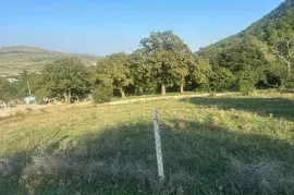 Land For Sale, Tsodoreti