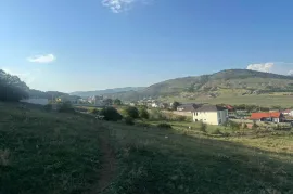 Продается Земля, Tsodoreti