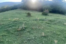 Land For Sale, Tsodoreti