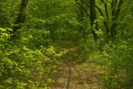 Land For Sale, For Investment, Otaraani