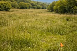 Продается Земля, Для Инвестиций, Отараани