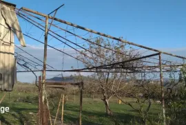 Продается Земля, Сельскохозяйственные, Патардзеули