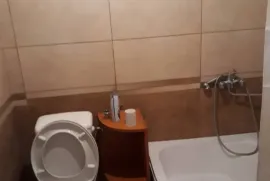 Daily Rent, 4 Room, Dusheti , Bazaleti 