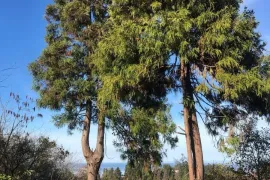 House For Sale, 4 Room, Batumi