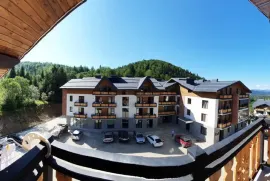 ქირავდება ბინა დღიურად, 1 ოთახიანი, ახალი აშენებული, ბორჯომი, ბაკურიანი