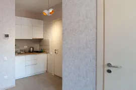 ქირავდება ბინა დღიურად, 1 ოთახიანი, ახალი აშენებული, ბორჯომი, ბაკურიანი