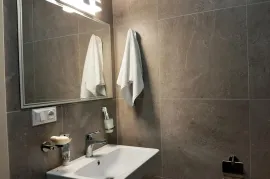 ქირავდება ბინა დღიურად, 1 ოთახიანი, ახალი აშენებული, ბორჯომი, ბაკურიანი