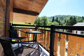 ქირავდება ბინა დღიურად, 1 ოთახიანი, ახალი აშენებული, ბორჯომი, ბაკურიანი