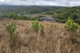 იყიდება მიწის ნაკვეთი, ნაგლიანთკარი