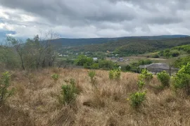 იყიდება მიწის ნაკვეთი, ნაგლიანთკარი