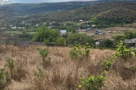 იყიდება მიწის ნაკვეთი, ნაგლიანთკარი