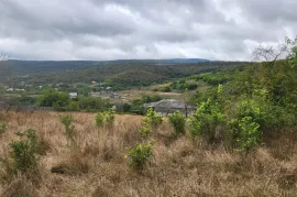 იყიდება მიწის ნაკვეთი, ნაგლიანთკარი