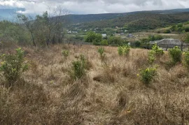 იყიდება მიწის ნაკვეთი, ნაგლიანთკარი