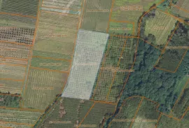 Land For Sale, Agricultural, Gavazi