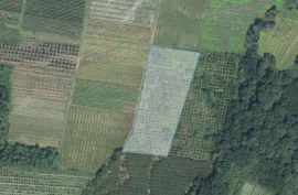 Продается Земля, Сельскохозяйственные, Гавази