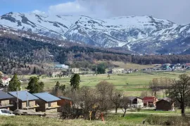 Land For Sale, Non Agricultural, Bakuriani