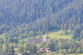 Land For Sale, Non Agricultural, Bakuriani