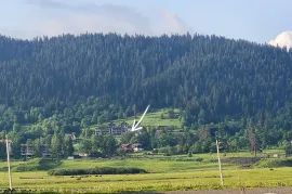 Land For Sale, Non Agricultural, Bakuriani