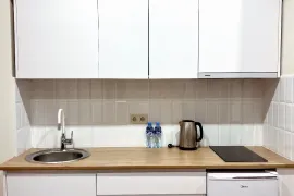 Daily Apartment Rent, 2 Room, New building, Borjomi , Bakuriani