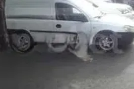 ტვირთის გადატანა