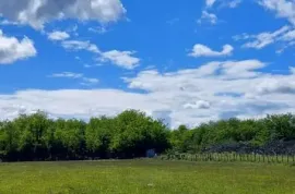 Land For Sale, Agricultural, Tskaltubo