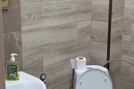 Аренда, 3 Kомнатная, Старое здание, Тбилиси, Санзона