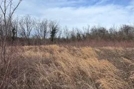 Продается Земля, Сельскохозяйственные