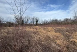 Продается Земля, Сельскохозяйственные