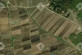 Land For Sale, Agricultural, Kobiaantkari