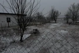 Land For Sale, Agricultural, Aragvispiri