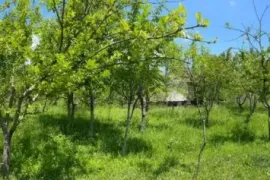 Продается Земля, Сельскохозяйственные, Misaqtsieli