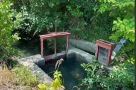 Продается Земля, Сельскохозяйственные, Misaqtsieli