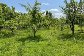 Продается Земля, Сельскохозяйственные, Misaqtsieli