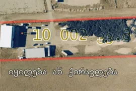 Продается Земля, Не Сельскохозяйственный, Martkopi