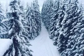 Daily Apartment Rent, 1 Room, New building, Borjomi , Bakuriani