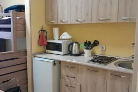 Daily Apartment Rent, 1 Room, New building, Borjomi , Bakuriani