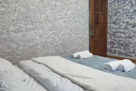 Daily Apartment Rent, 2 Room, Old building, Tbilisi, Sololaki