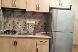 Аренда, 1 Kомнатная, Новостройка, Тбилиси, Vazisubani